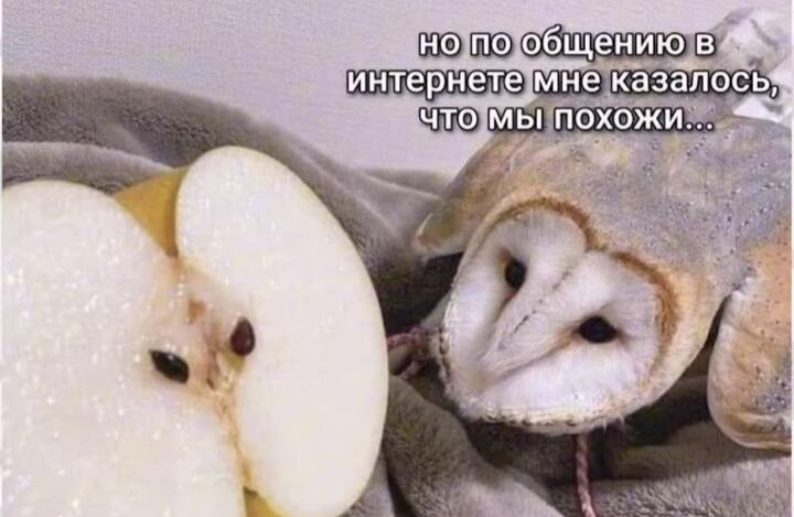 Когда пытался найти девушку