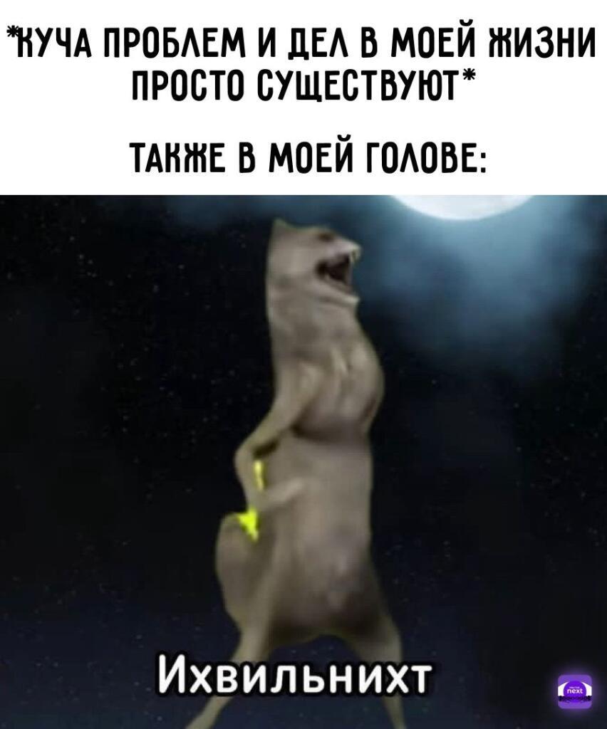 Мем без подписи