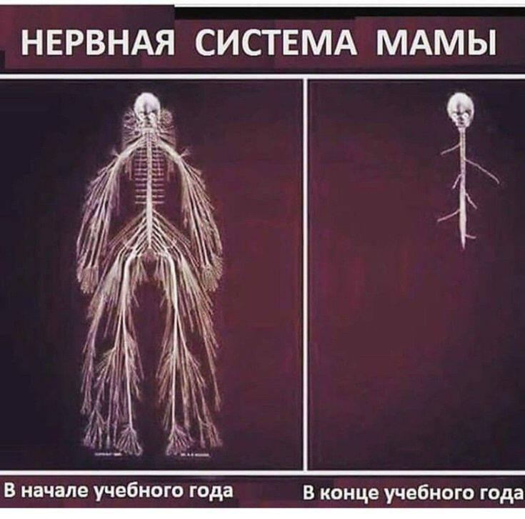 Мем без подписи