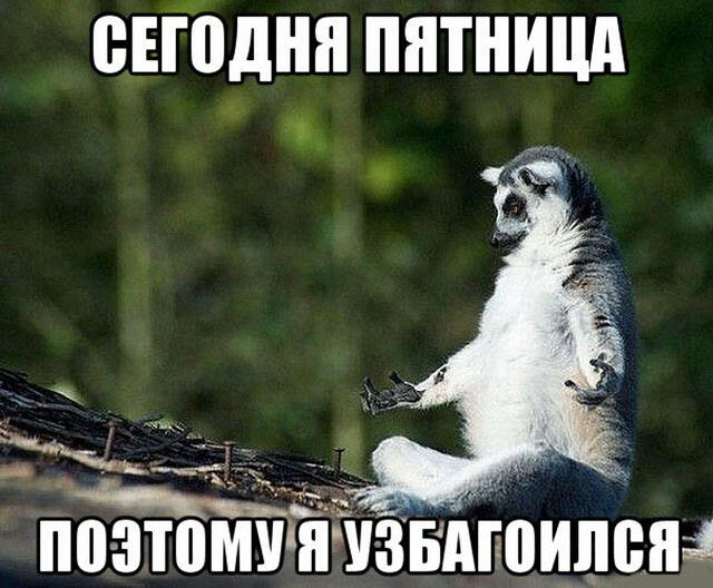 Нашёл самый баянный мем для вас на сегодня. Наслаждайтесь