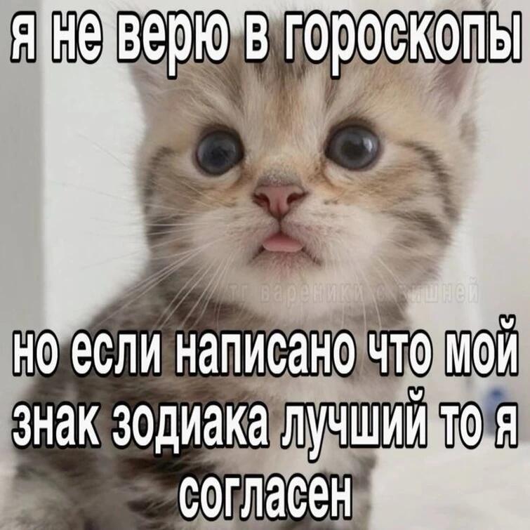 Мем от Мемный Мозг ꧁༺ 𝓑𝓔𝓑𝓔𝓟𝓛𝓜 ༻꧂