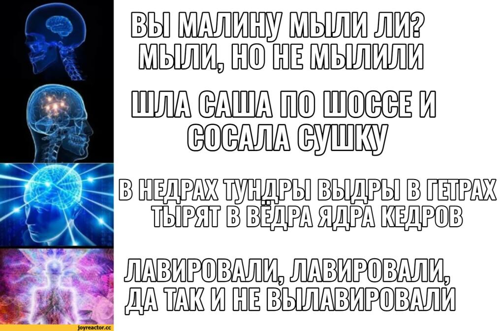 Мем с четырьмя уровнями развития мозга и скороговорками