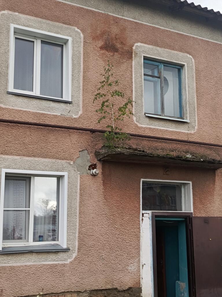 Продам березку на двухэтажке
