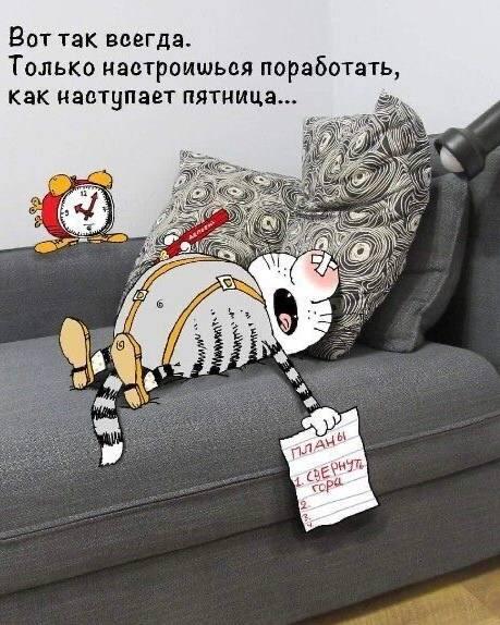 Мем от Weiss