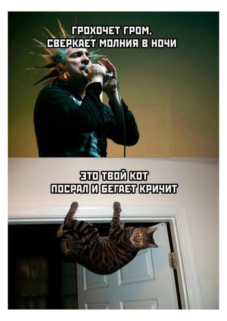 "Сейчас поймаю тебя в сумку, И орать ты будешь в ней, Мне так хочется,...