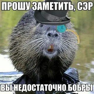 Мем от Спамптон Г. Спамптон