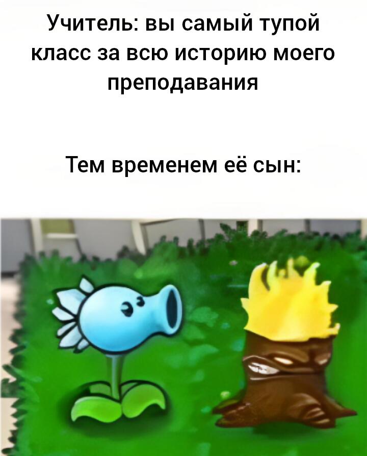 Pvz топ