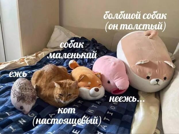 Мем без подписи