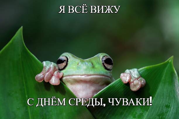 Это среда, чуваки!