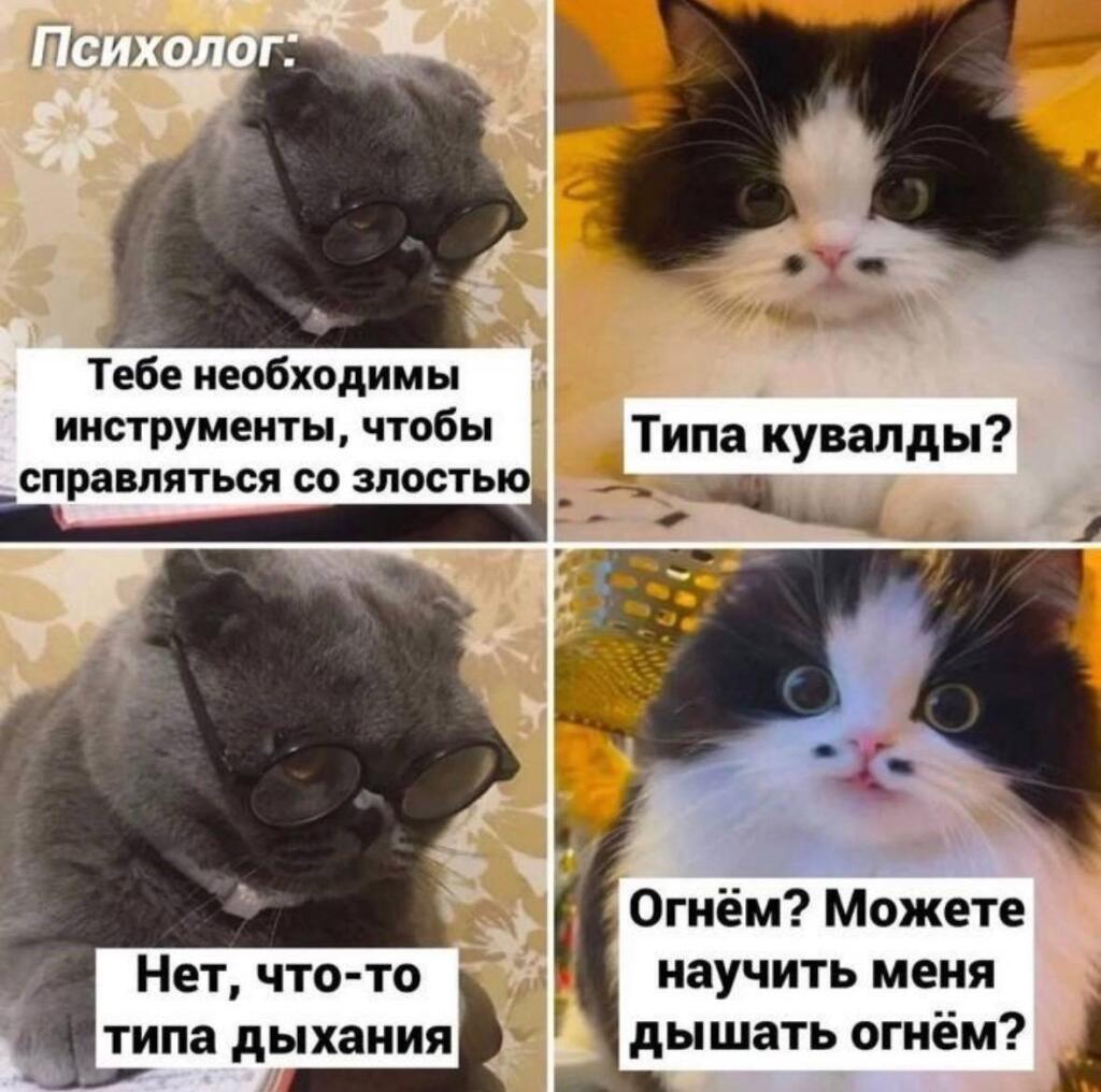 Четыре кадра с котами в очках и без, где психолог предлагает инструменты против злости, а кот спрашивает про кувалду и огненное дыхание