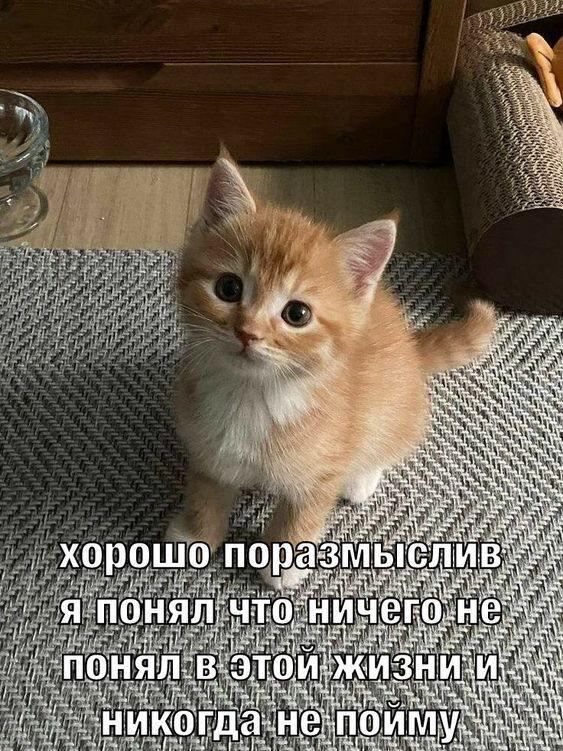 Ох , прикольно так получилось , что количество моих записей равнялось...
