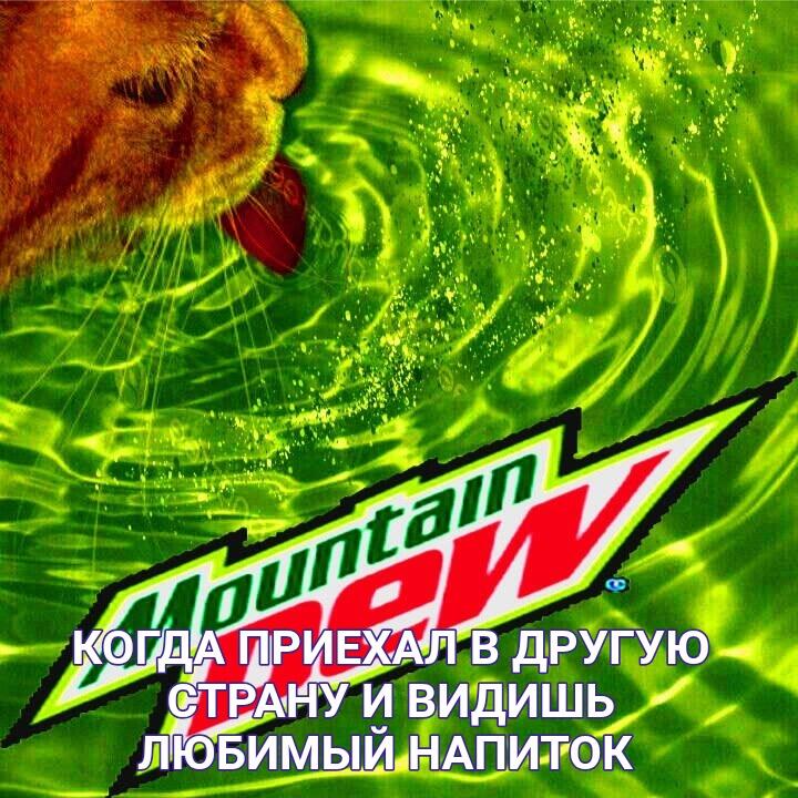 Рыжий кот облизывает зелёную поверхность с логотипом Mountain Dew, надпись: когда приехал в другую страну и видишь любимый напиток