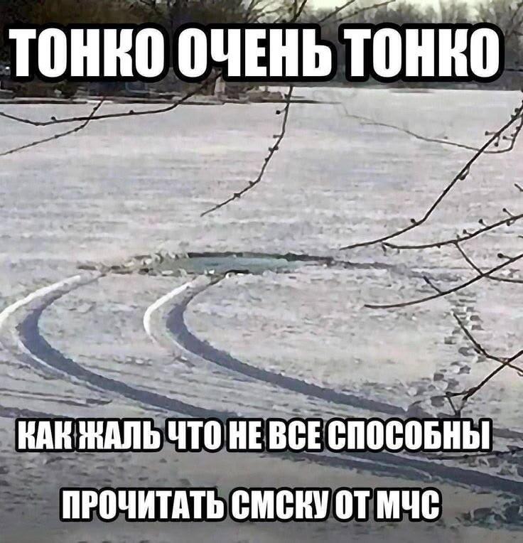 Мем от 🌸💥|цвяточный ад {ПЛМ}
