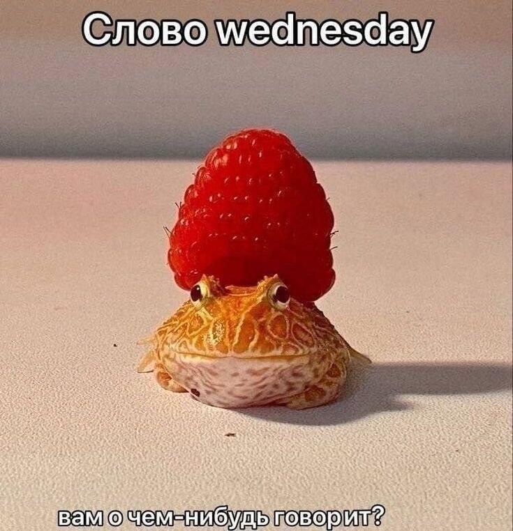 Мем от Meliostr [ПЛМ]