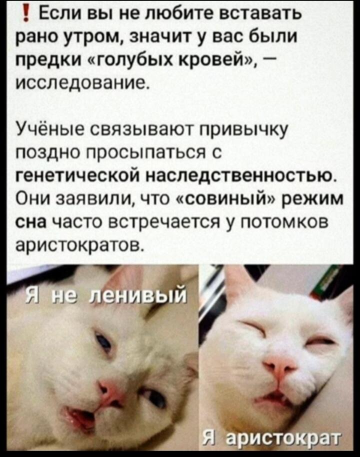 Мем от Lahma