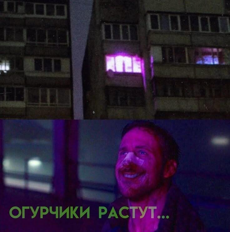 Мем без подписи