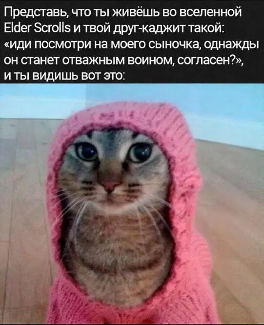 Мем без подписи
