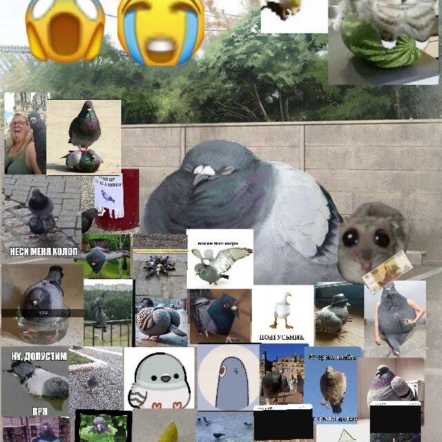 ГОЛУБЬ