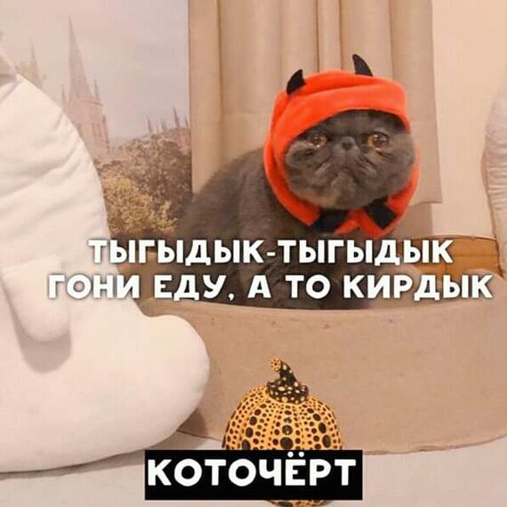 Мем от бич