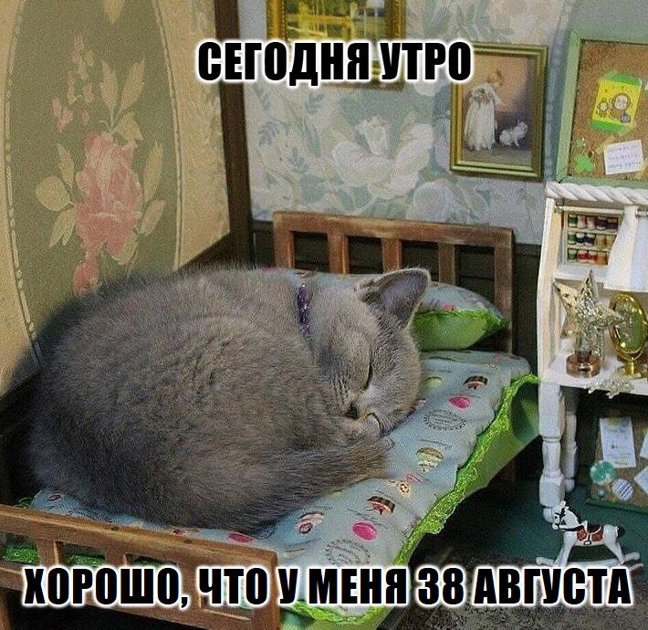 Мем без подписи