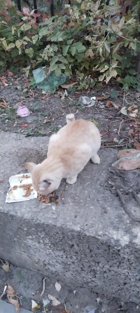 Ещё одна сладкая булочка была накормлена!