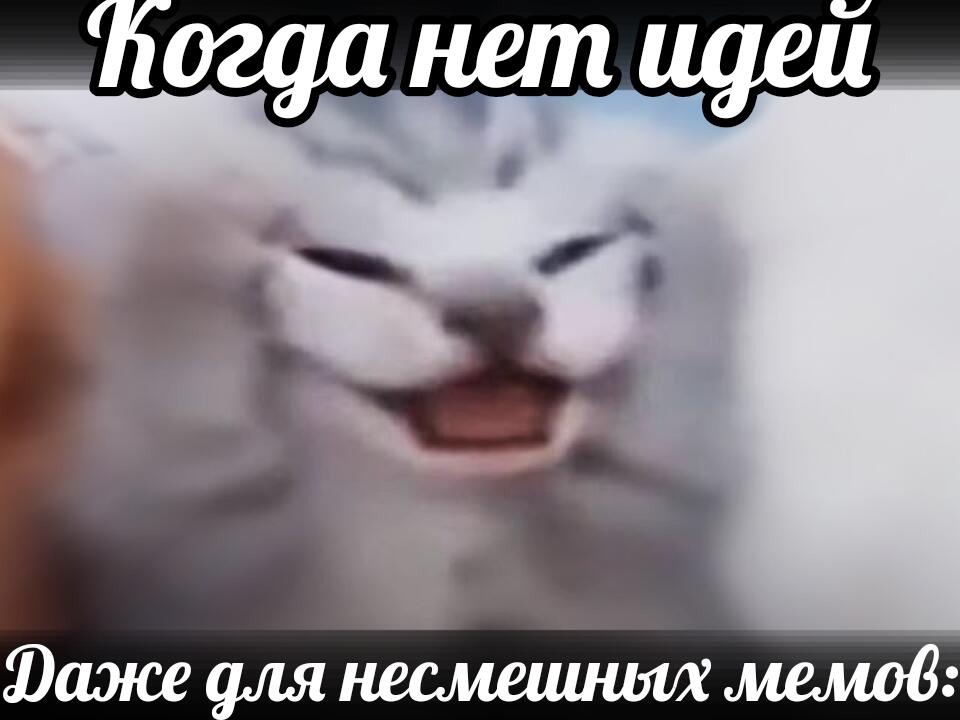 У меня нет идей для мемов от слова совсем :(