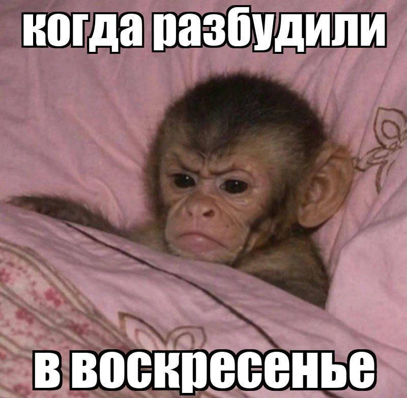 Мем без подписи