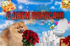 Мем от тюлень иван (глорпис)