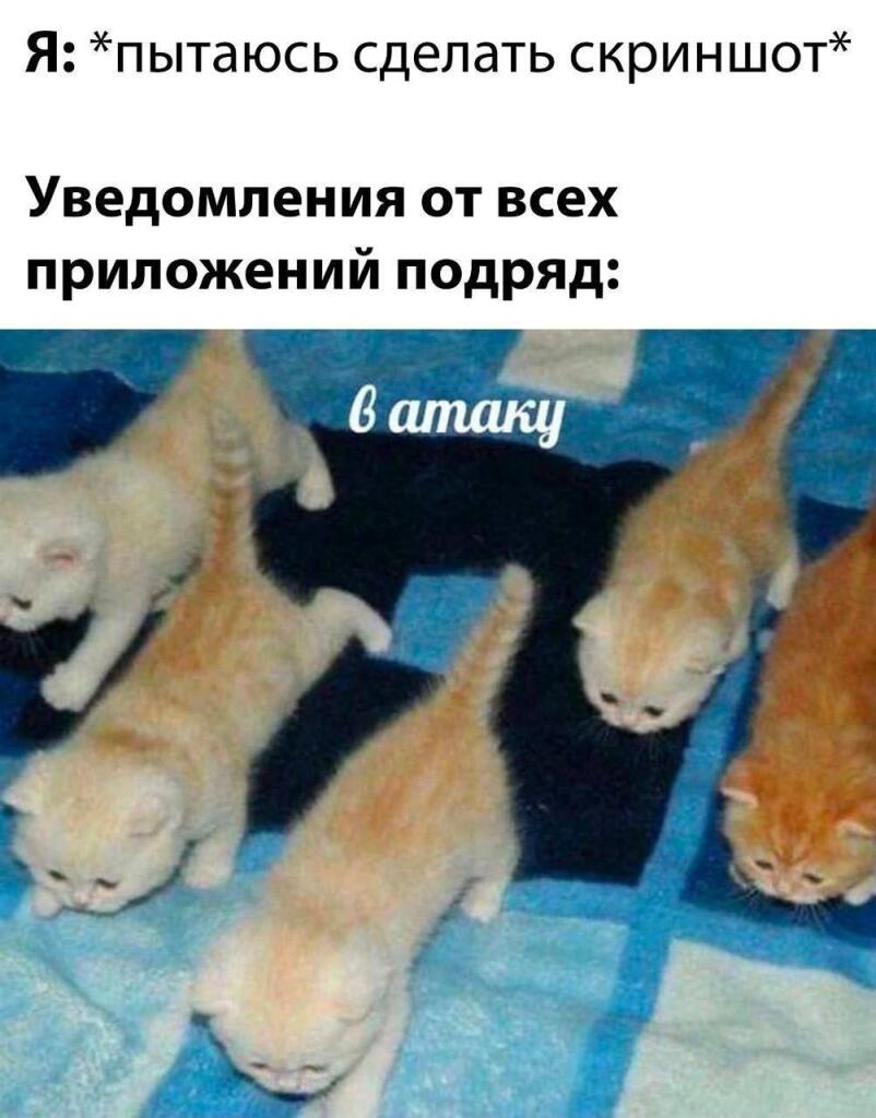 Мем от MrMuken