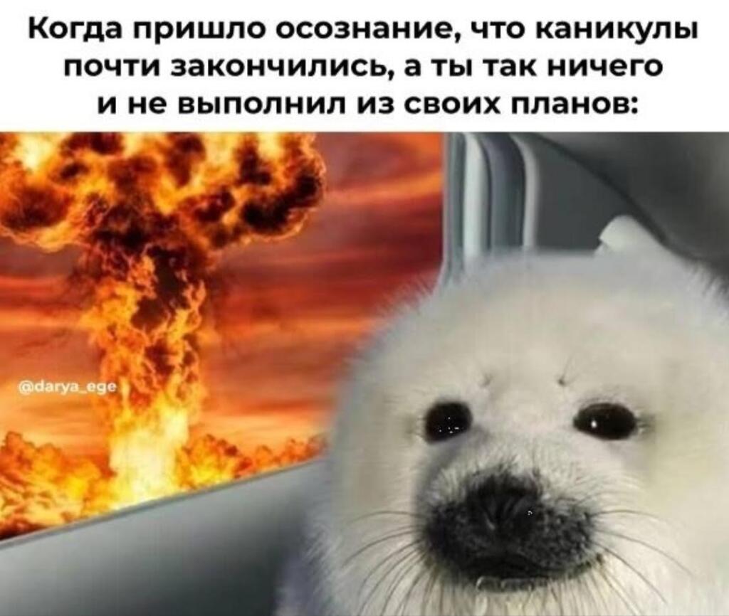 ойой