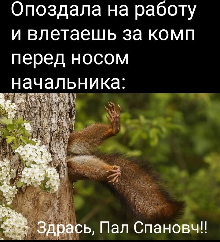 Мем от Lahma