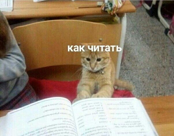 Мем от Сметана CHUP
