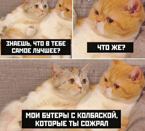 Мем от Михей