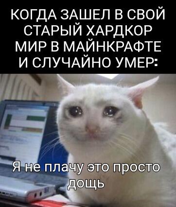 Белый кот сидит перед ноутбуком с грустными глазами, на фото есть текст про смерть в хардкоре в Майнкрафте