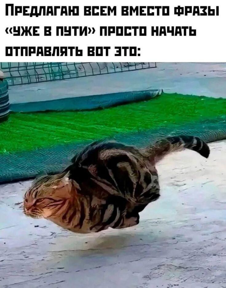 Что-то