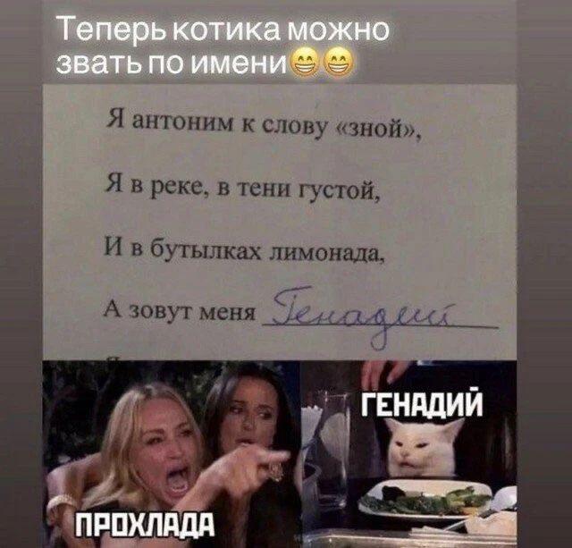 Теперь кота можно называть по имени