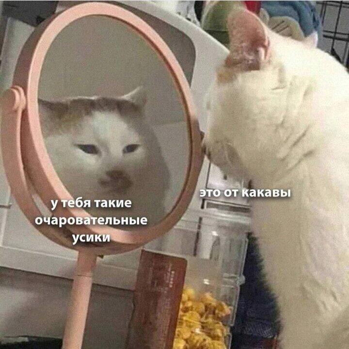Итак... Вижу многие спрашивают мнение о себе.... Поэтому расскажите под этим постом свое мнение обо мне. Хейт принимаю.