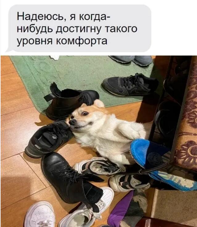 Мем от db