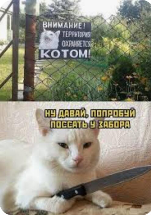 Я бы не осмелился