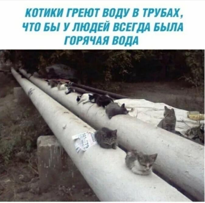 Котопление