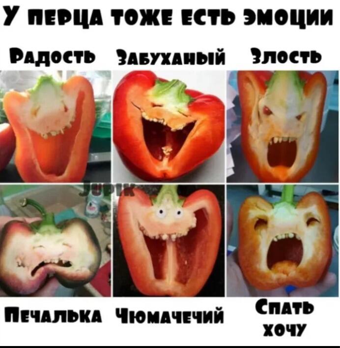 Мем от Limonchik_2271[ЛМП]