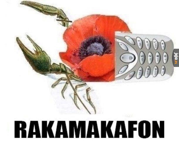 Мем от 🌸💥|цвяточный ад {ПЛМ}