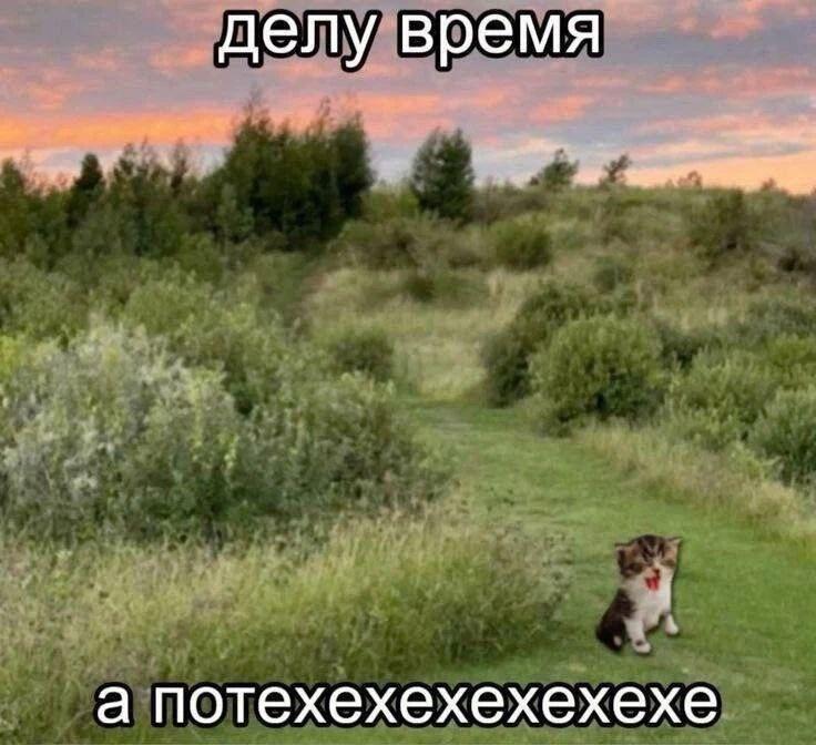 Мем от Просто Тимур
