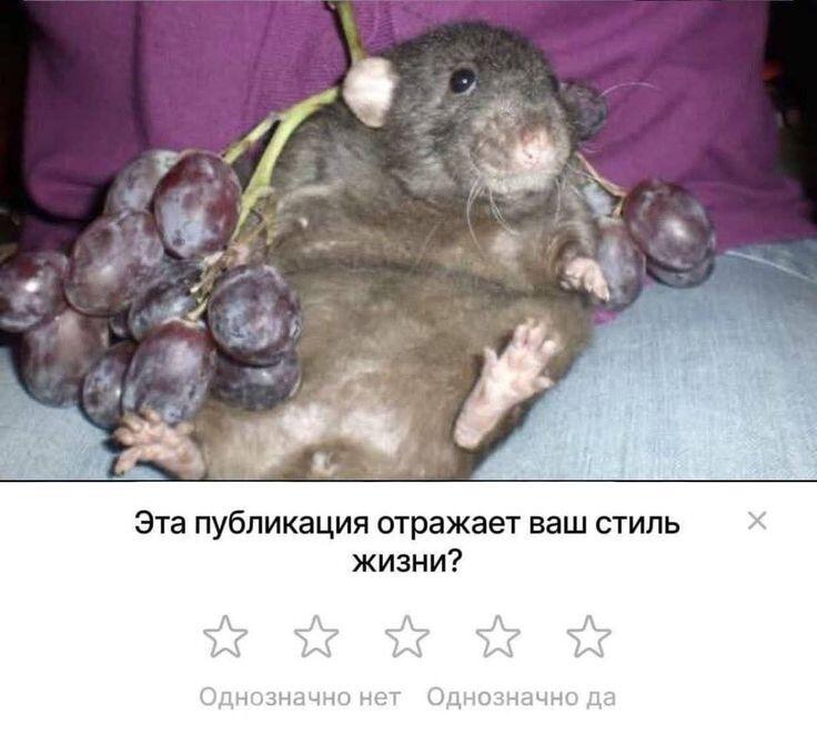 Причина по которой я не делаю посты: