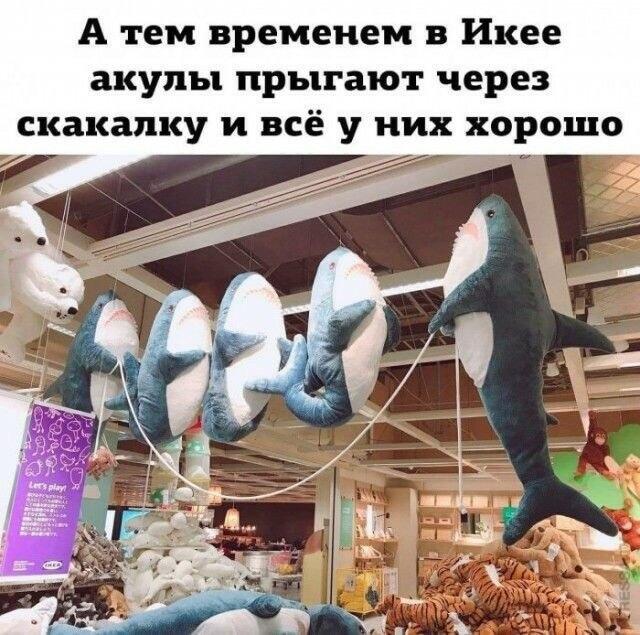 В зале Икеи мягкие акулы подвешены так, будто они прыгают через скакалку