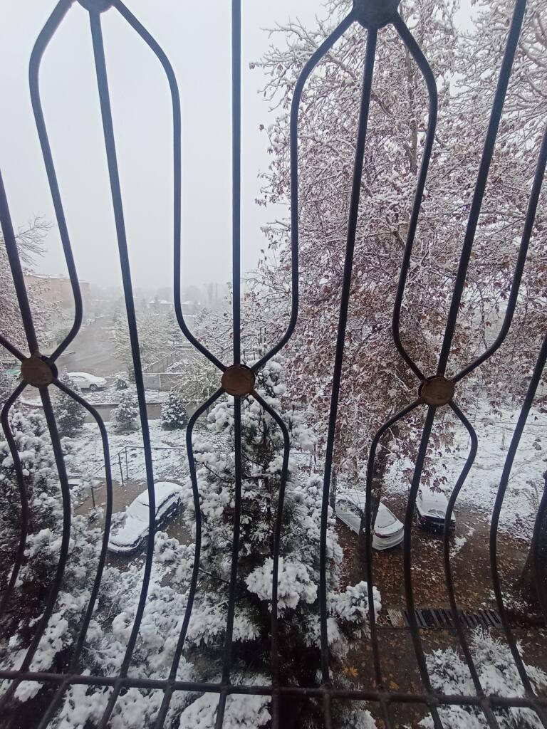 Выкладываю каждый день свой вид из окна день 5, пошёл снег ураааа!