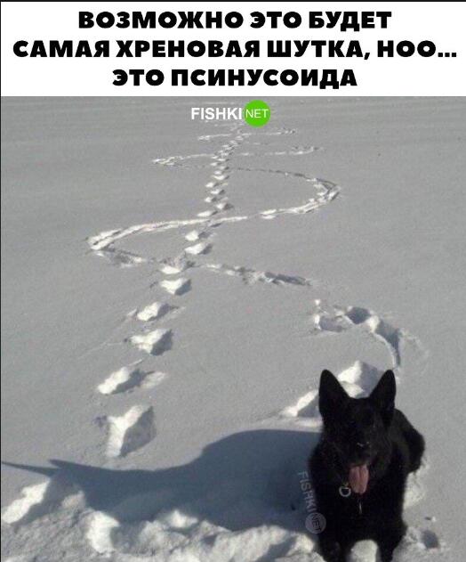 Псинусоида
