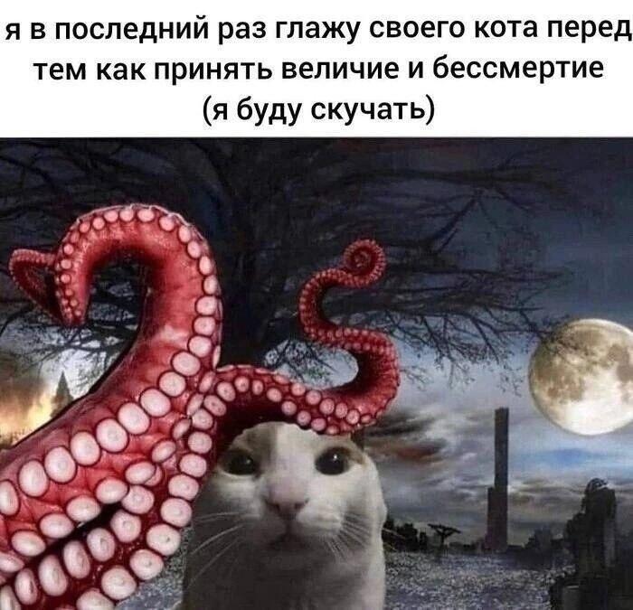 какой то чувачёчек в чат вампанчменчники скинул это мы пытались понять смысл этого изображения 2 часа подряд и добиться