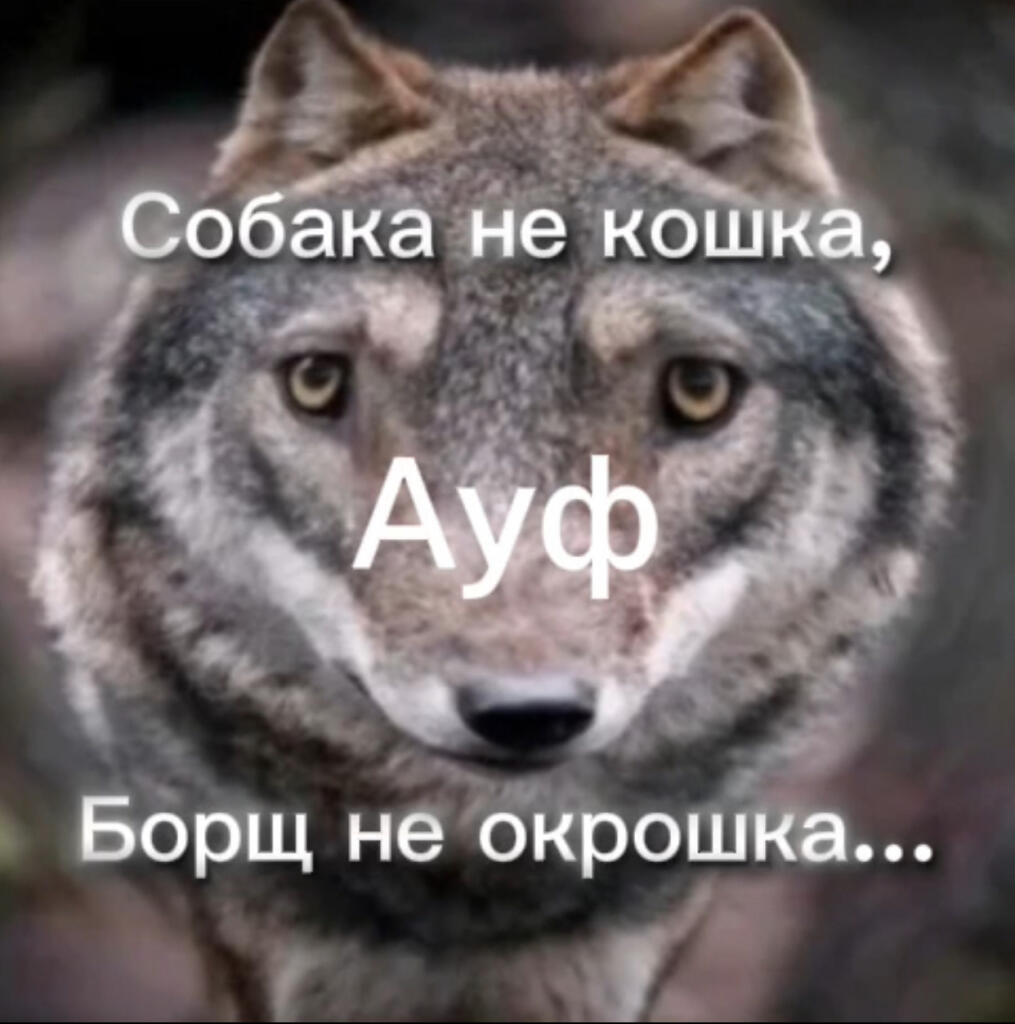 Ауф👆