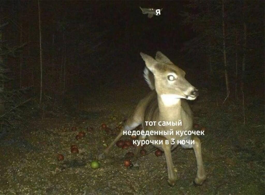 Мем без подписи
